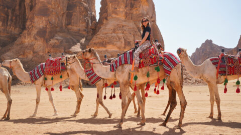 Camel Riding Adventures in Saudi Arabia