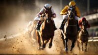 Top Sports Events in Saudi - Saudi Cup Horse Racing