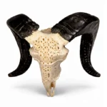 Hand Carved White Goat Skull Sculpture from Bali Indonesia